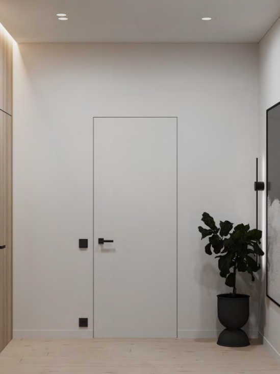 Двери скрытого монтажа FILOMURO