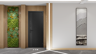 Входные двери